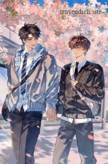 Không Làm Pháo Hôi Lụy Tình