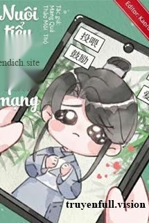 Nuôi Tiểu Phu Lang Qua Mạng