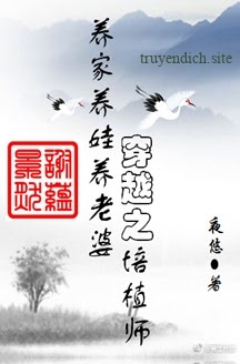 Xuyên Việt Chi Bồi Thực Sư