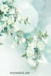 Hoa Nhài Cùng Xuân - Hàn Tê