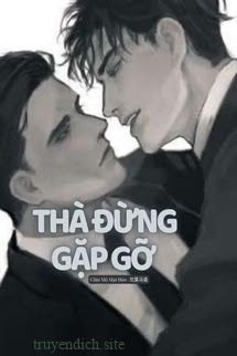 Thà Đừng Gặp Gỡ (Đam Mỹ)