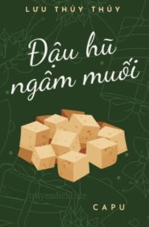 Đậu Hũ Ngâm Muối - Lưu Thủy Thủy