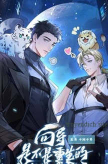 Dẫn Đường Có Phải Trùng Sinh Rồi Không